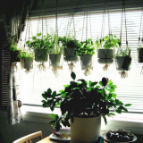 Lunární kalendář pro barvy místnosti pro březen 2022